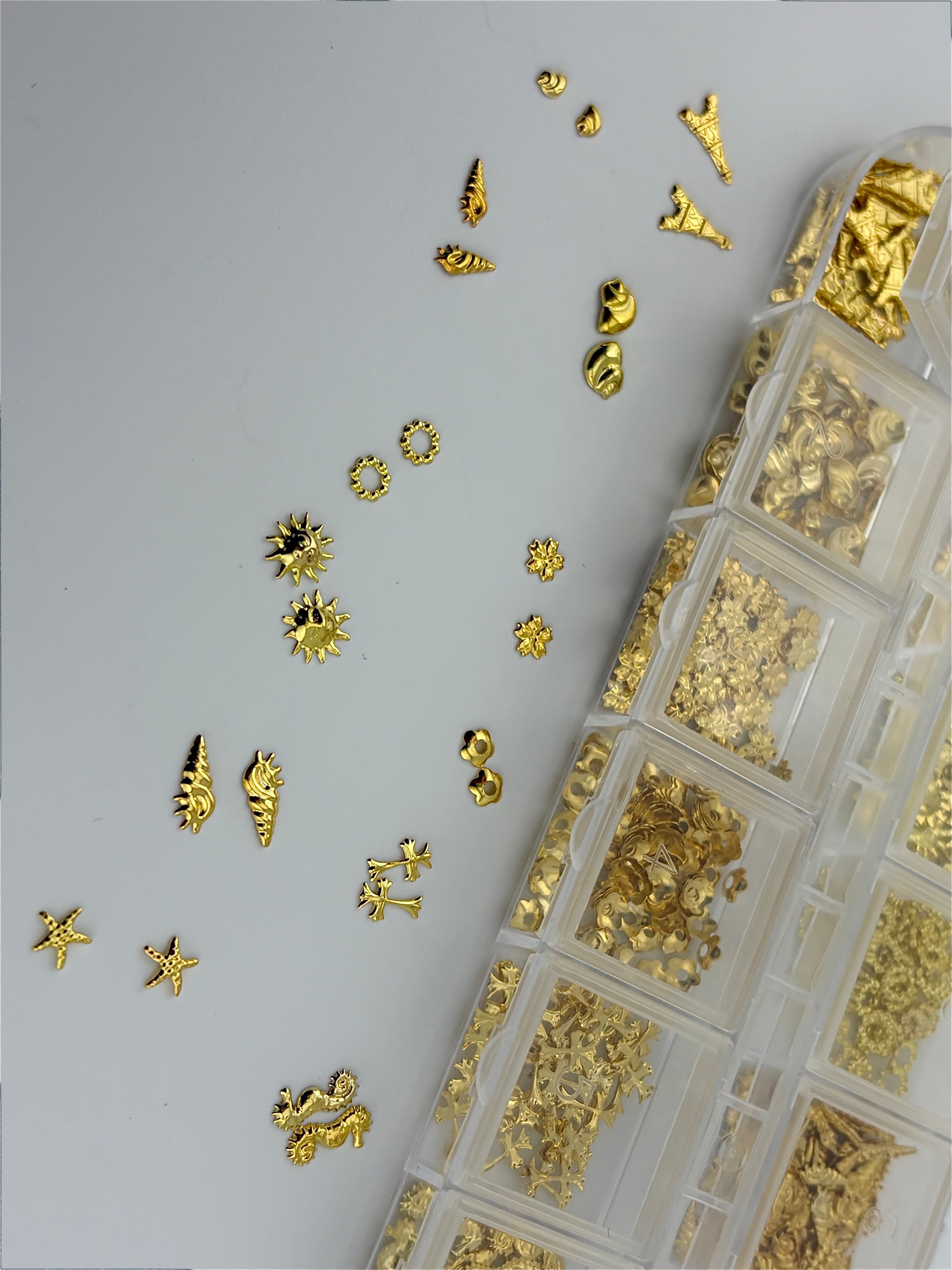 Sea shells Pack